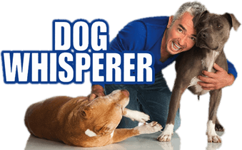 Cesar Millan PNG