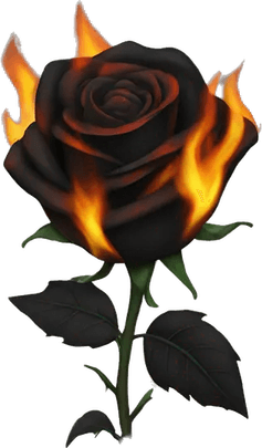 Burning Rose PNG