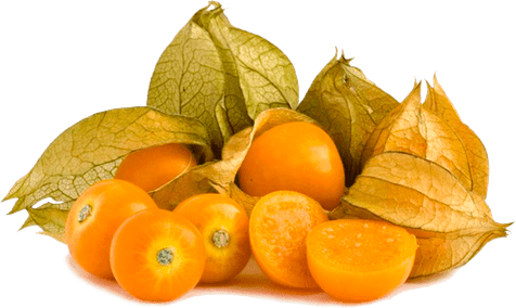 Cape Gooseberry PNG