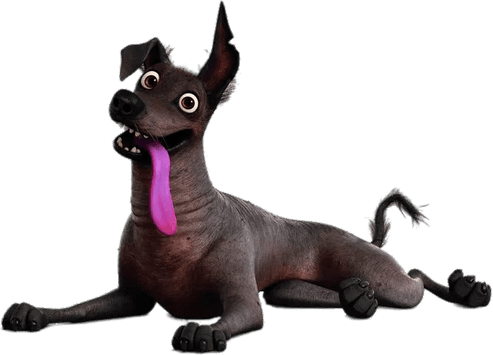 Coco Pixar PNG
