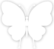 Black And White Butterfly PNG