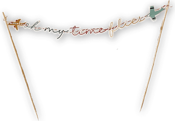 Plane Banner PNG