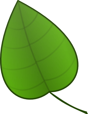 Cartoon Leaves PNG