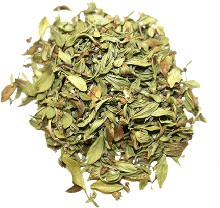 Dried Thyme PNG