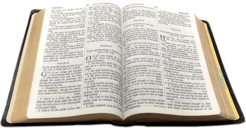 Open Bible PNG