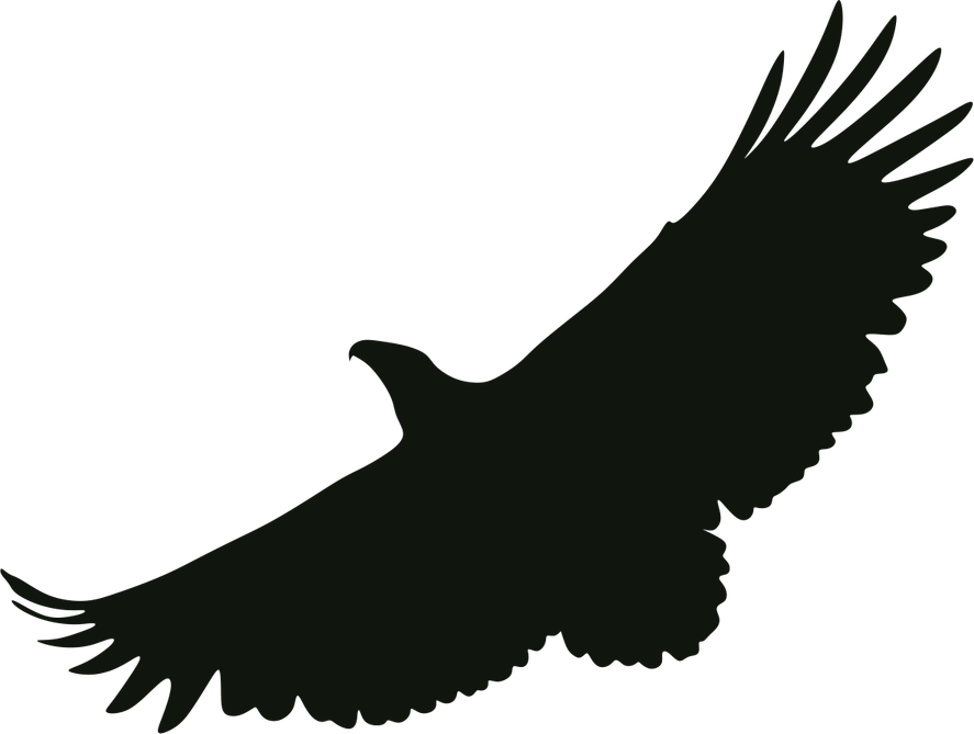 Aguila PNG