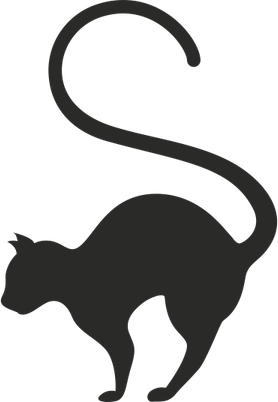 Cat Tail PNG
