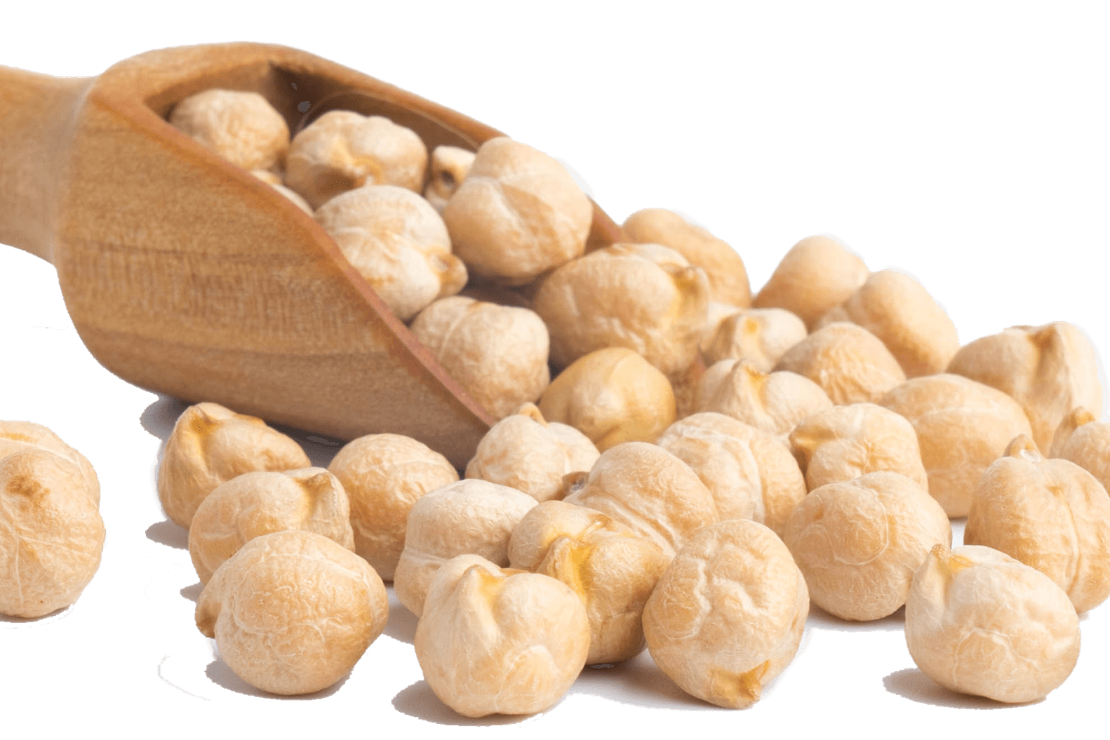 Garbanzo Beans PNG