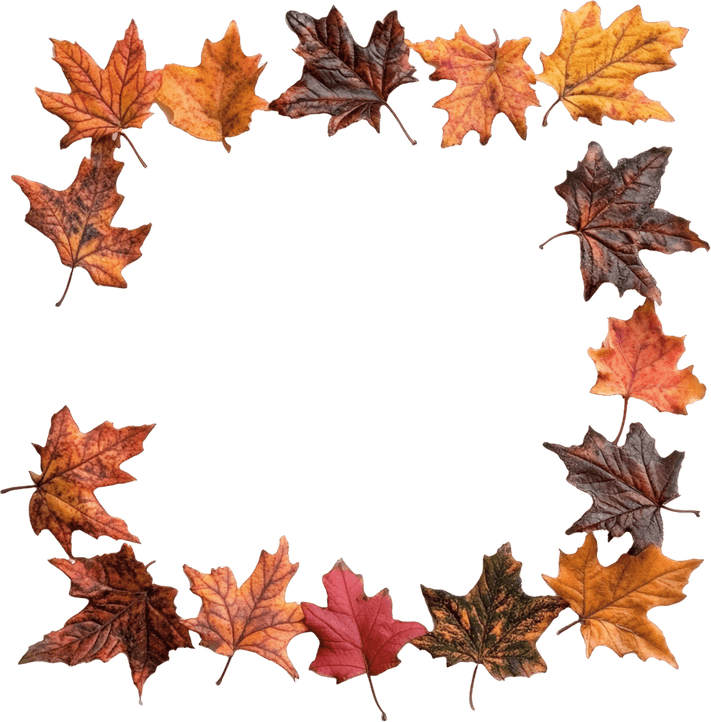 Fall Leaves Border PNG