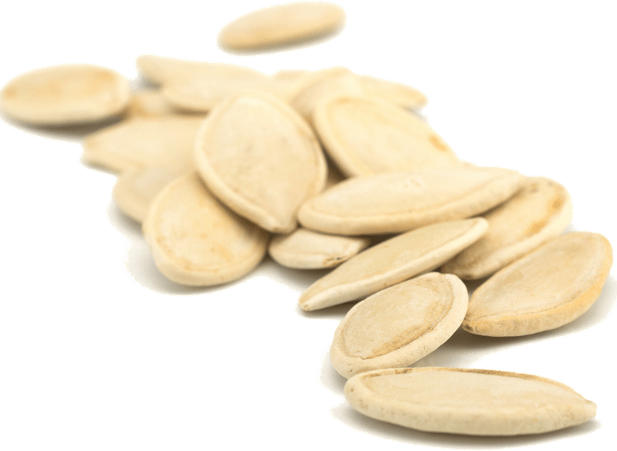 Pumpkin Seeds PNG