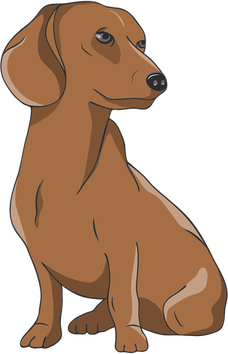 Dachshund PNG