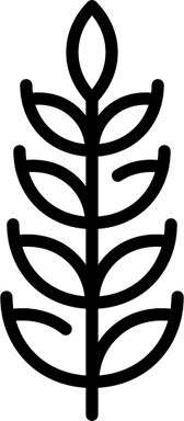 Grain PNG