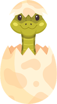 Snake Egg PNG