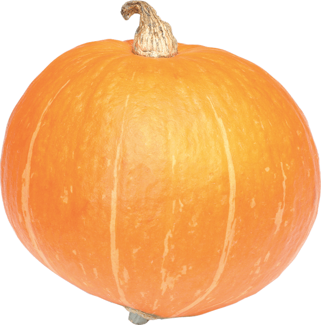 Jack O Lantern PNG