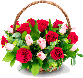 Congratulation Flower PNG