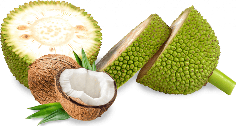 Jackfruit PNG