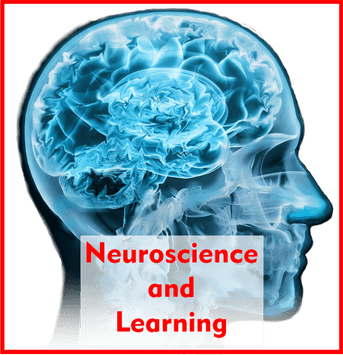 Neuro Brain PNG
