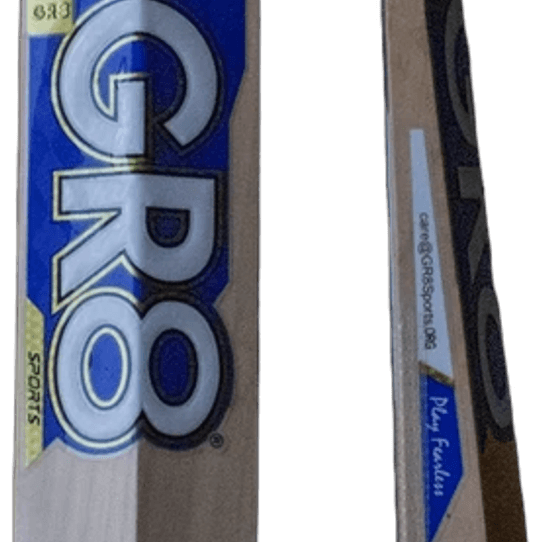 Sports Bat PNG