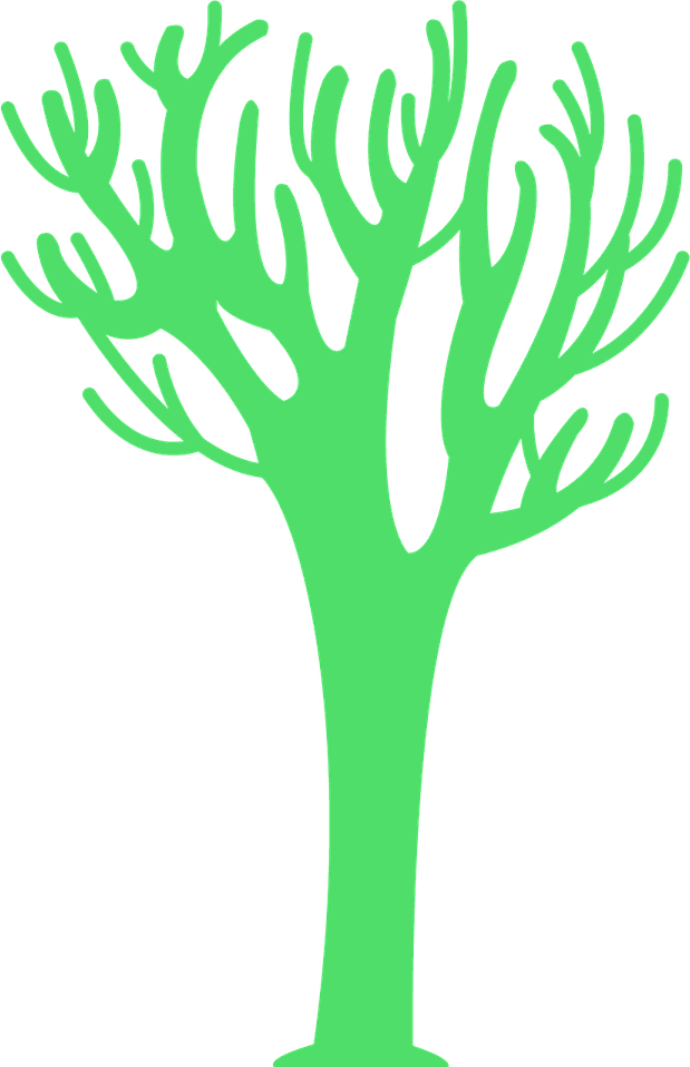 Tree Without Leaves PNG