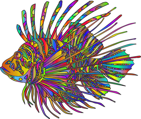 Rainbow Fish PNG