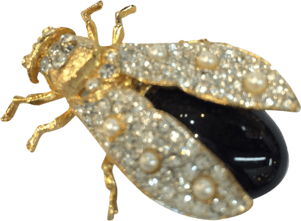 Leafhoppers PNG