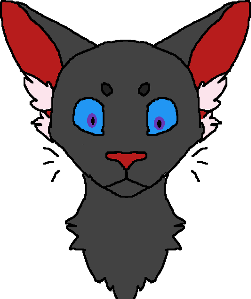 Coraline Cat PNG