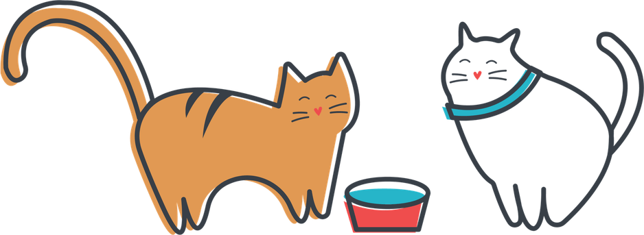 Coffee Cat PNG
