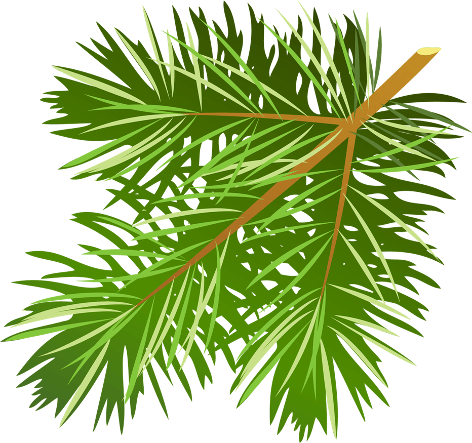 Christmas Branches PNG