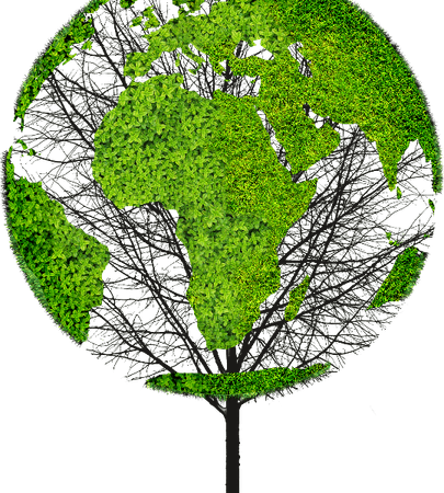 Tree Earth PNG