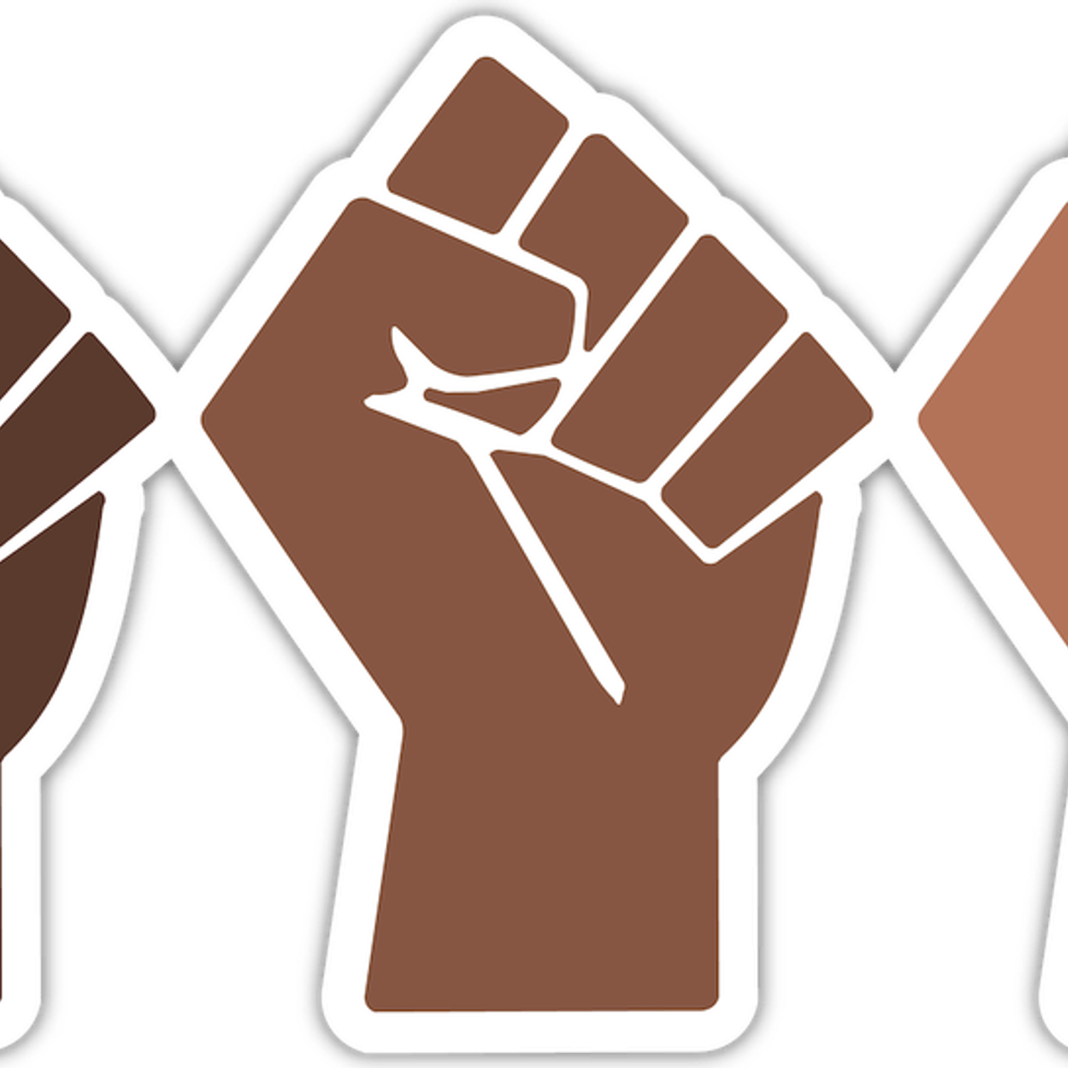 Blm Fist PNG