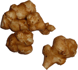 Jerusalem Artichokes PNG