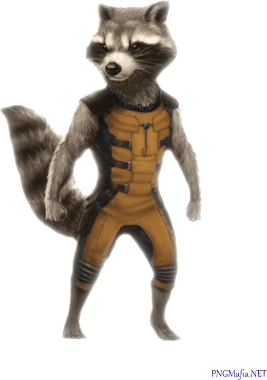 Rocket Raccoon PNG