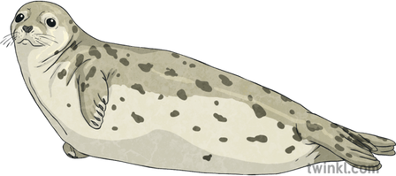 Seal PNG