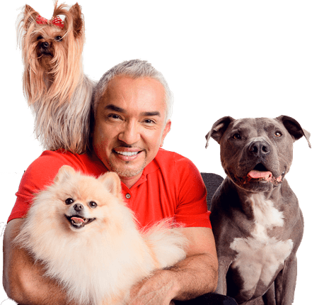 Cesar Millan PNG