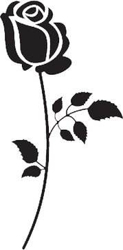 Black And White Roses PNG
