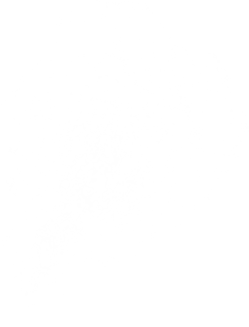 Train Smoke PNG