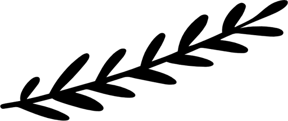 Leaves Border PNG
