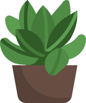 Succulent PNG