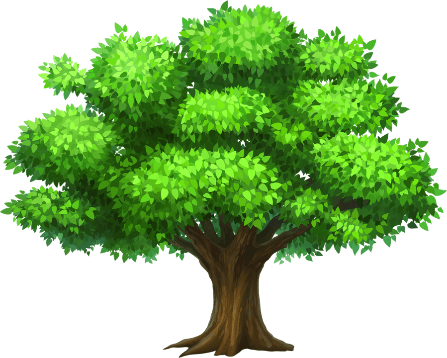 Family Tree PNG