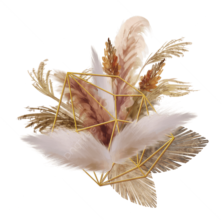 Pampas Grass PNG