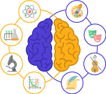 Left Brain Right Brain PNG