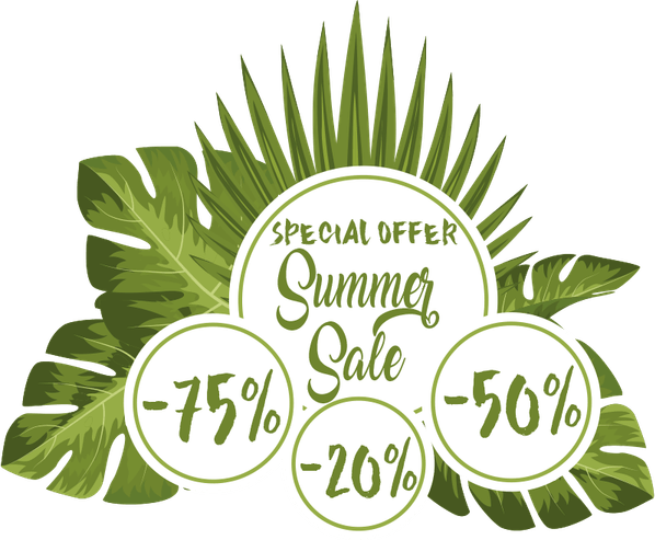 Summer Sale Banner PNG