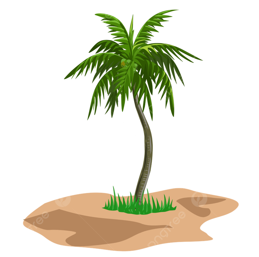 Palmera PNG