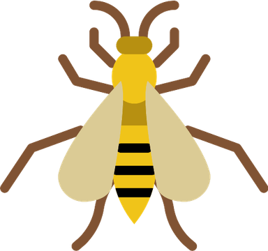 Wasp PNG
