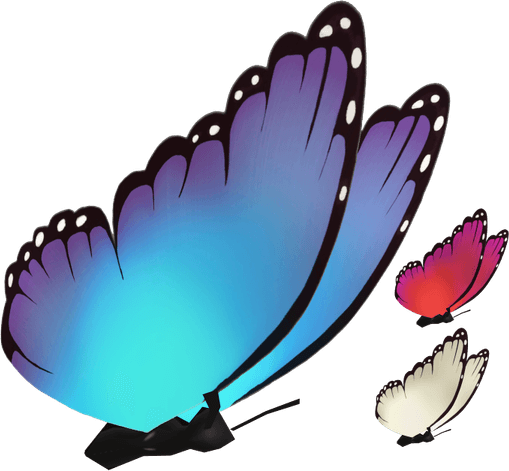 Encanto Butterfly PNG