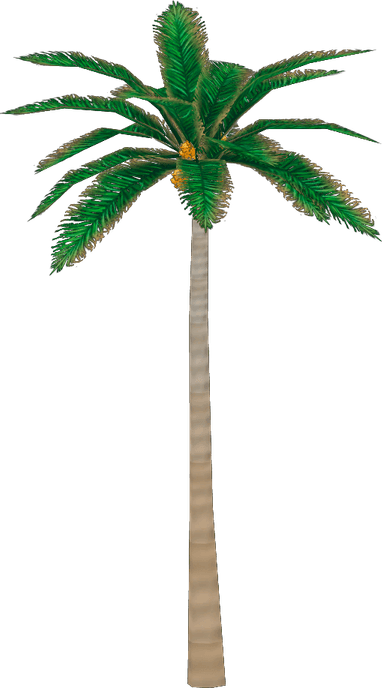 Royal Palm Tree PNG