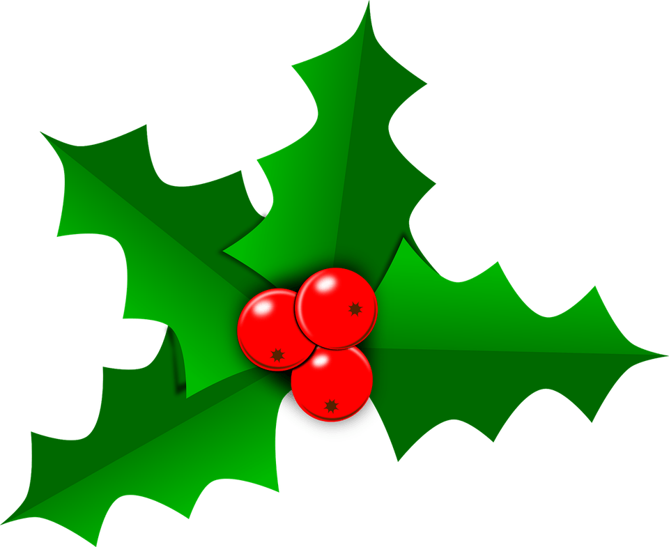 Holly PNG