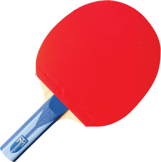 Table Tennis PNG