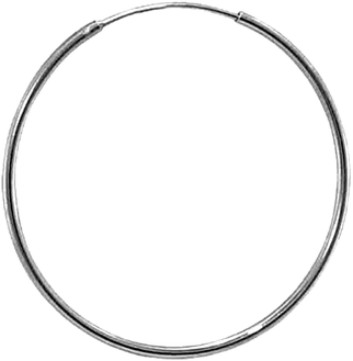 Hoop Earrings PNG