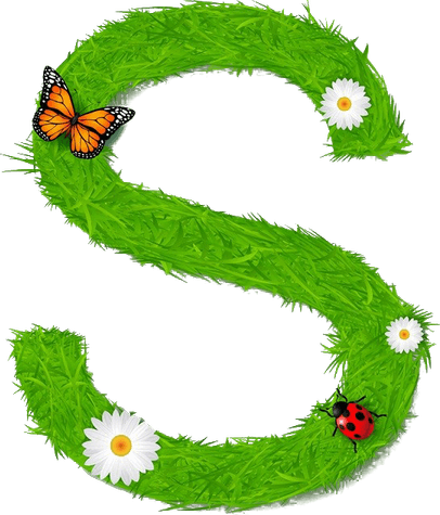 S Letter PNG